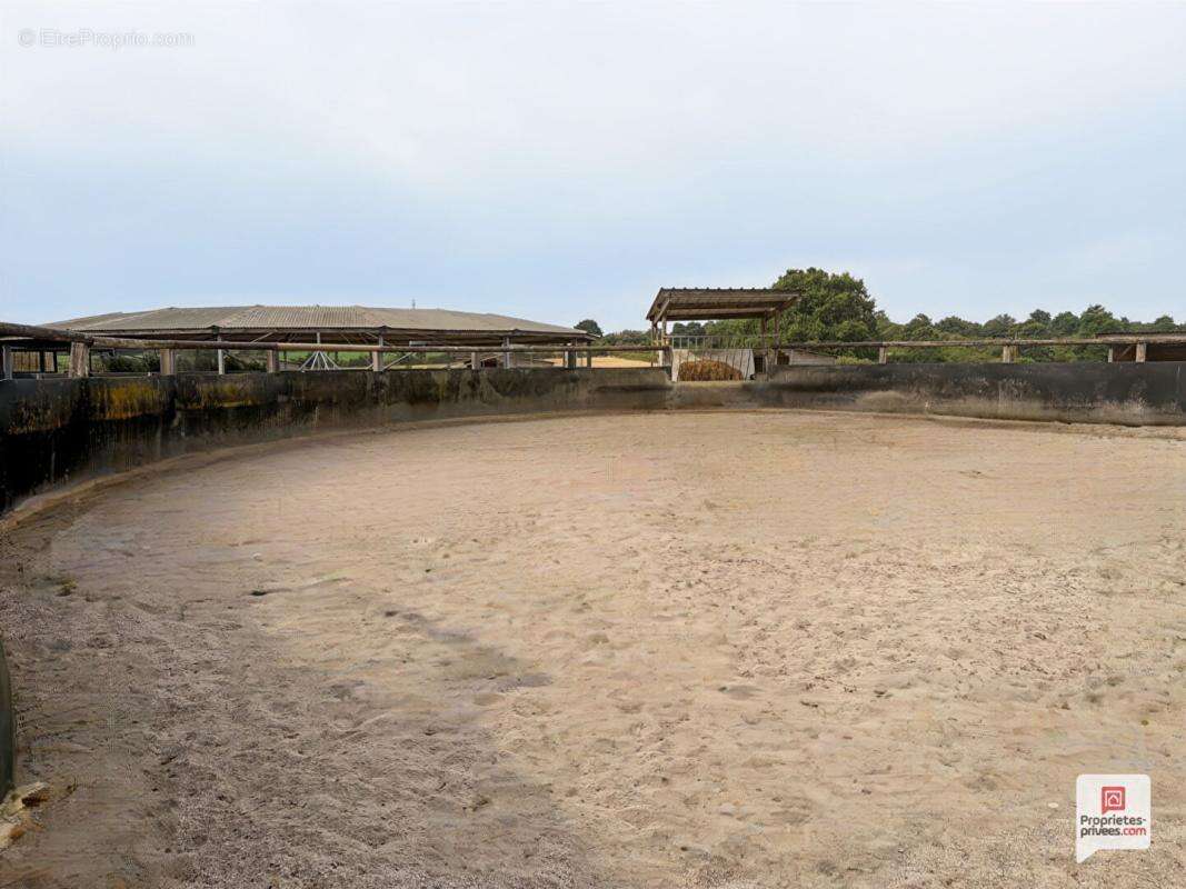Propriété equestre Erdre En Anjou 7 pièce(s) 169 m2 - photo 8