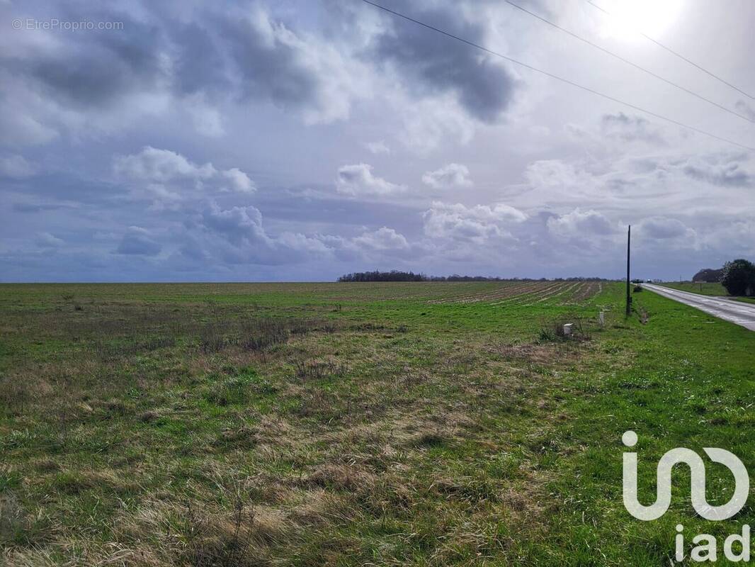 Photo 1 - Terrain à MONTCORBON