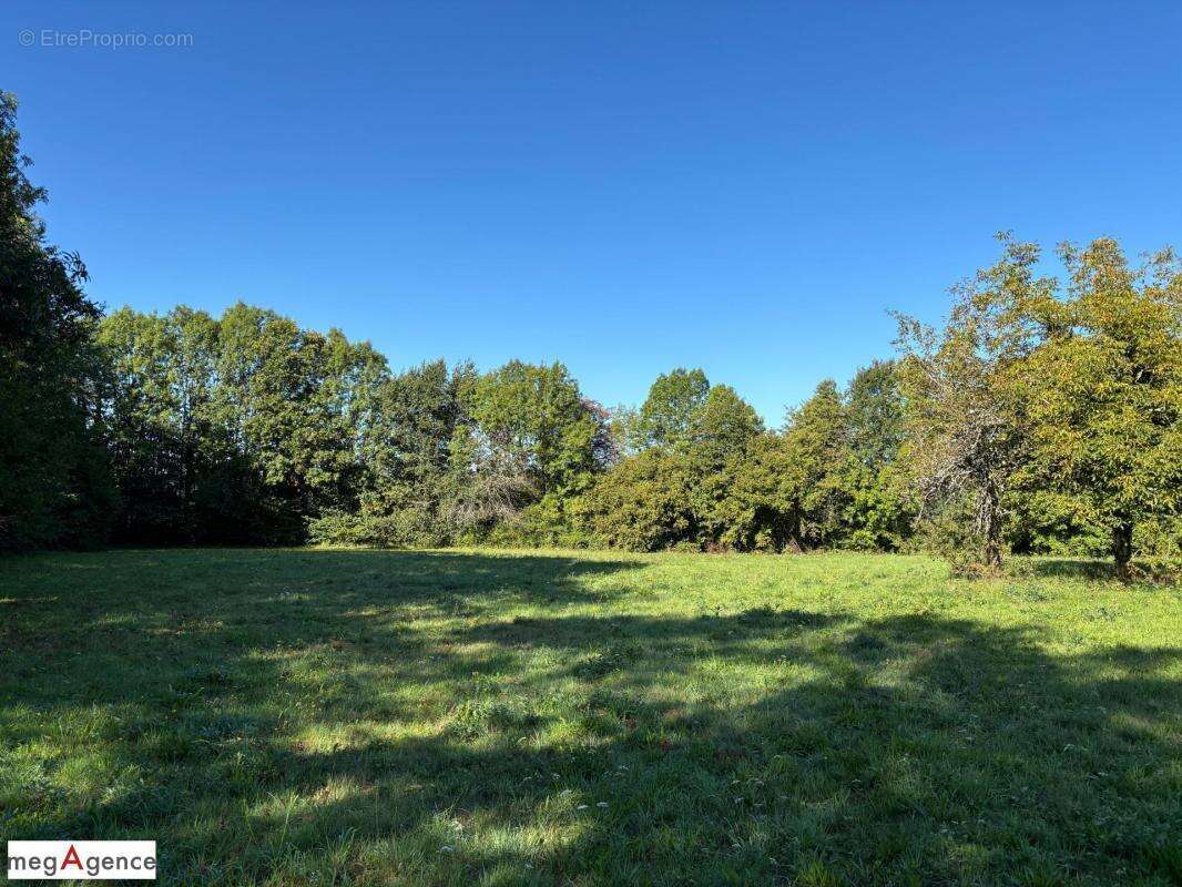 Terrain à SAINT-GERMAIN-LES-VERGNES