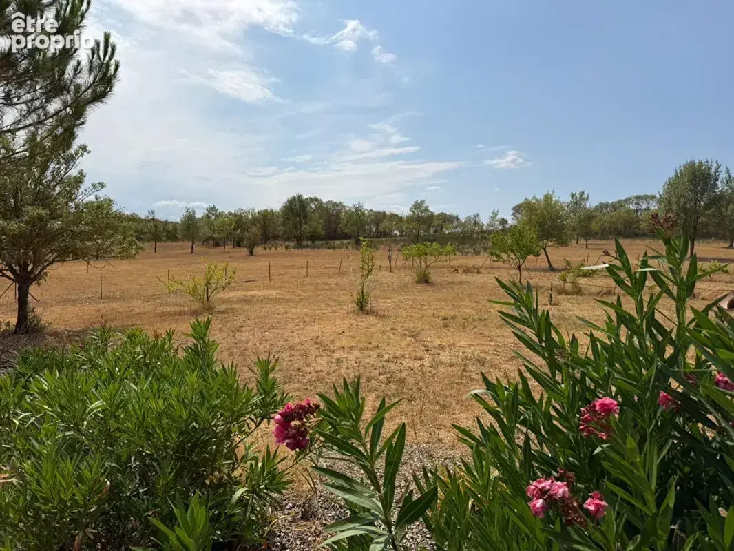 Maison de plain-pied avec piscine sur 3,65 hectares de terrain clos et arboré - photo 16