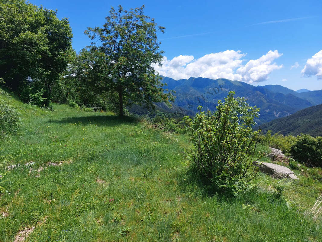 Vue panoramique - photo 23