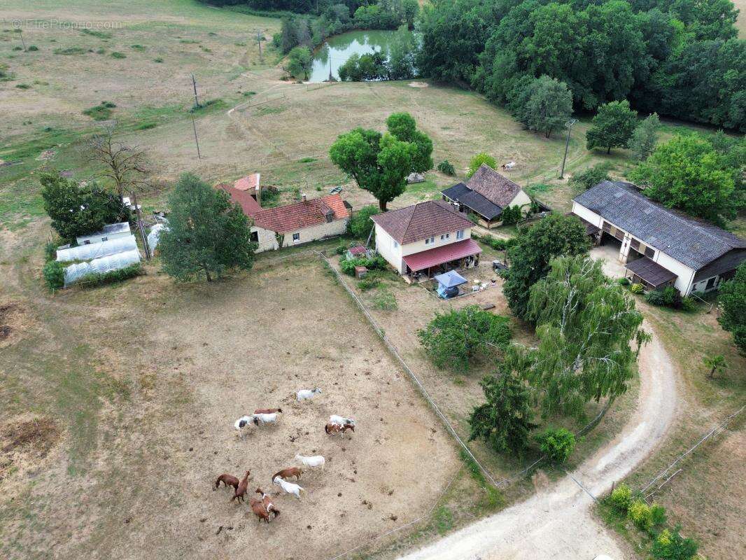 Domaine de 11ha avec étang - photo 55