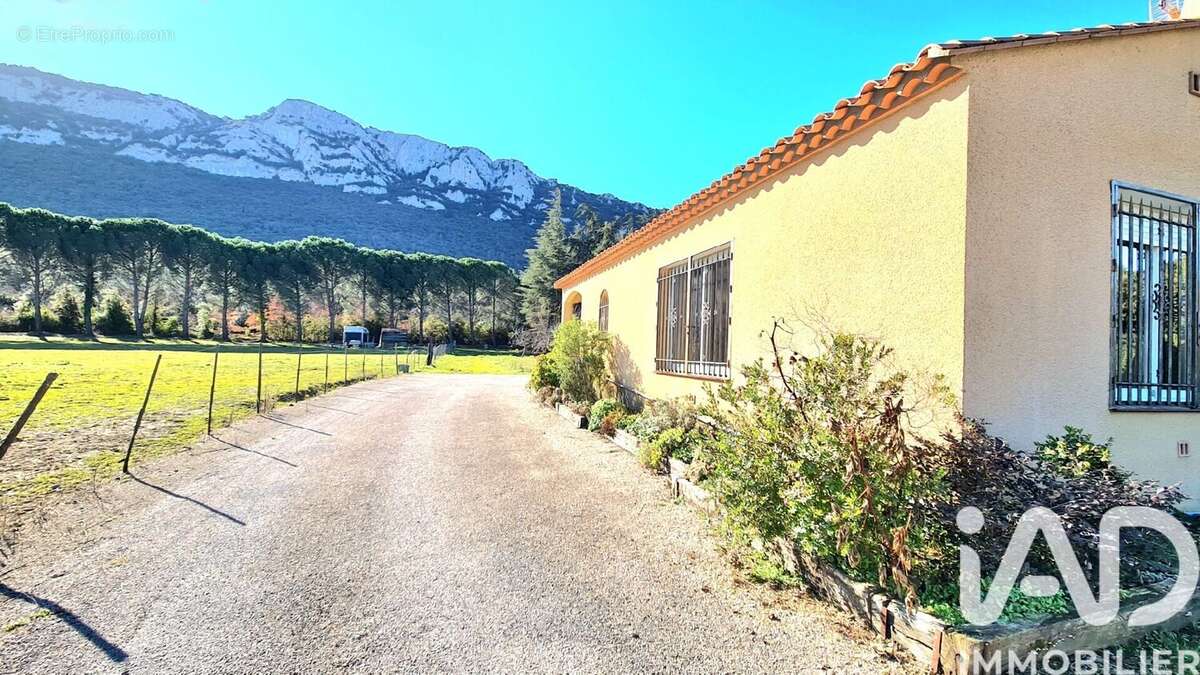 Photo 2 - Maison à CAUDIES-DE-FENOUILLEDES