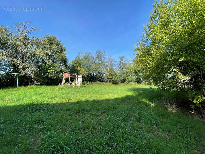 Maison à CERCY-LA-TOUR