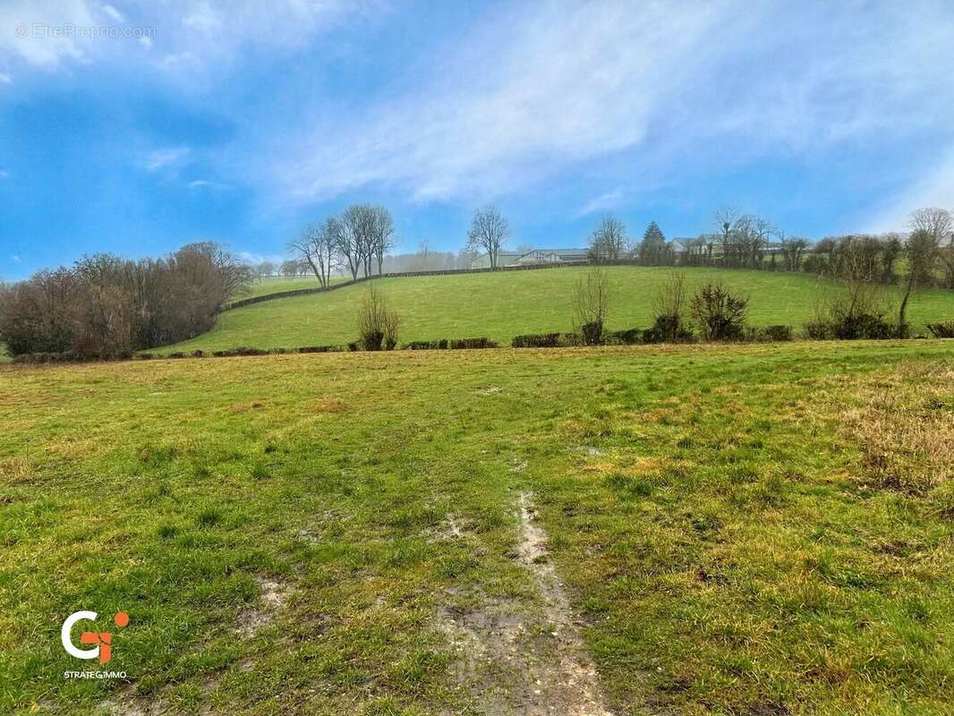 Herbage 7 872 m² - photo 2
