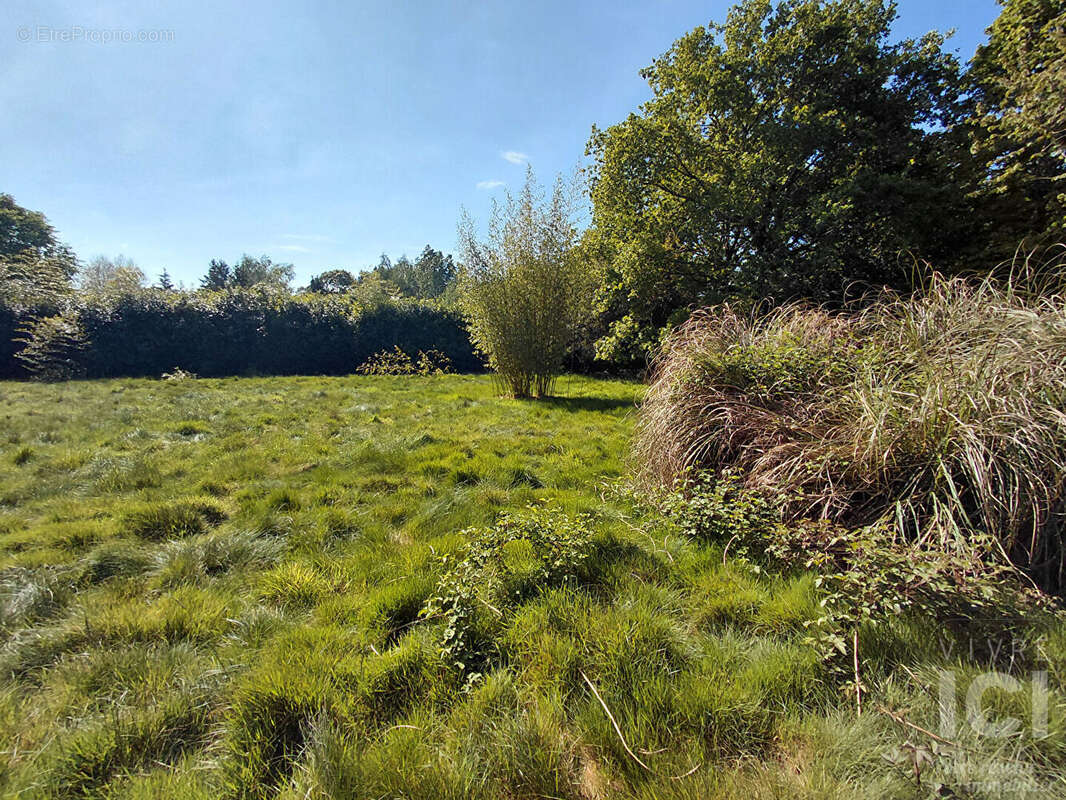 Terrain à SAUTRON
