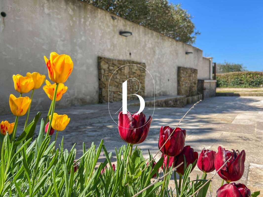 Maison à GOUDARGUES