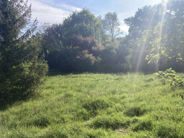 Terrain à SAINT-JEAN