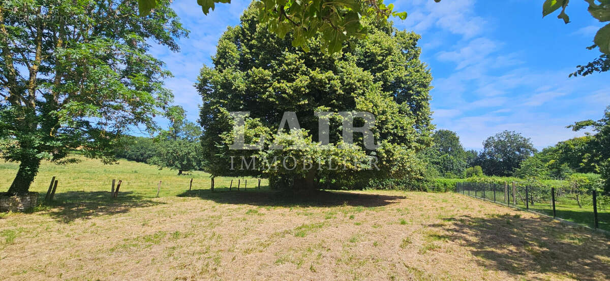 A vendre charmante maison en pierre - p15364 - photo 4
