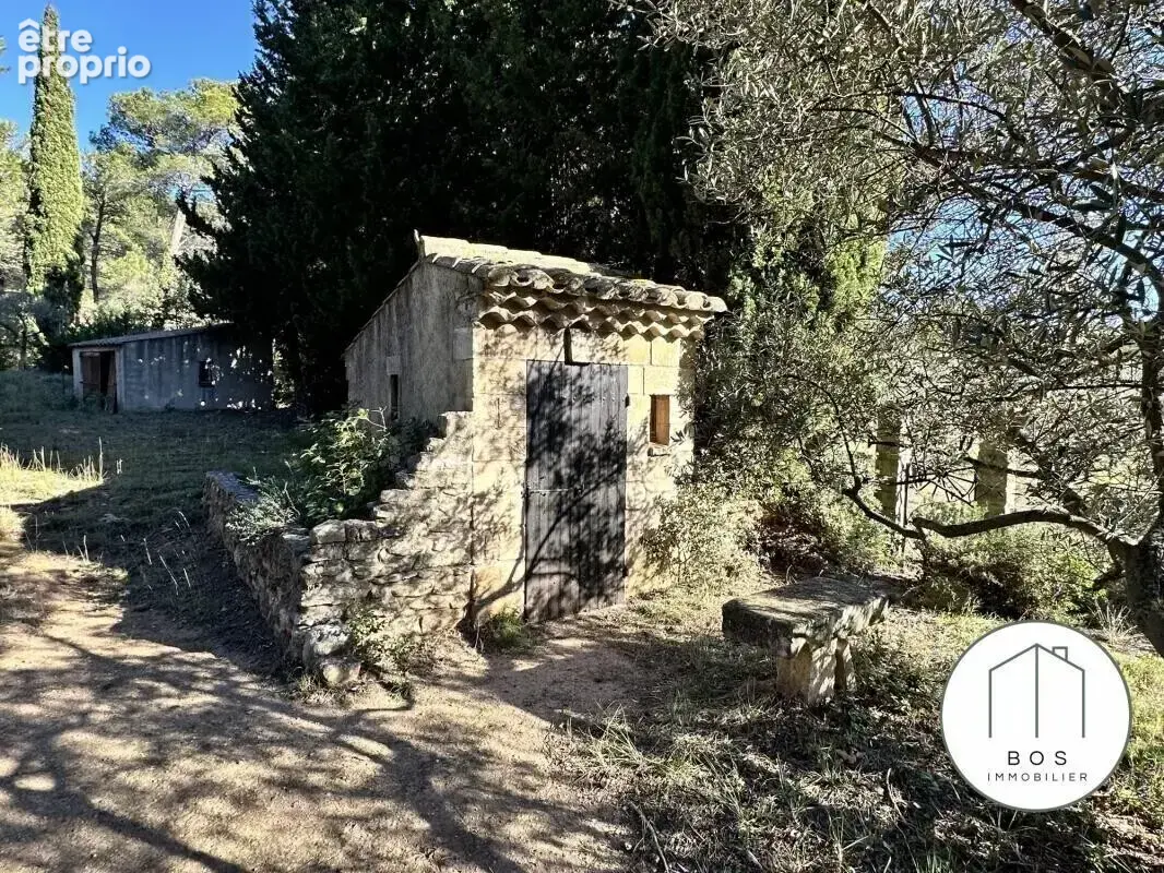 Votre Mazet au coeur des Alpilles - photo 4