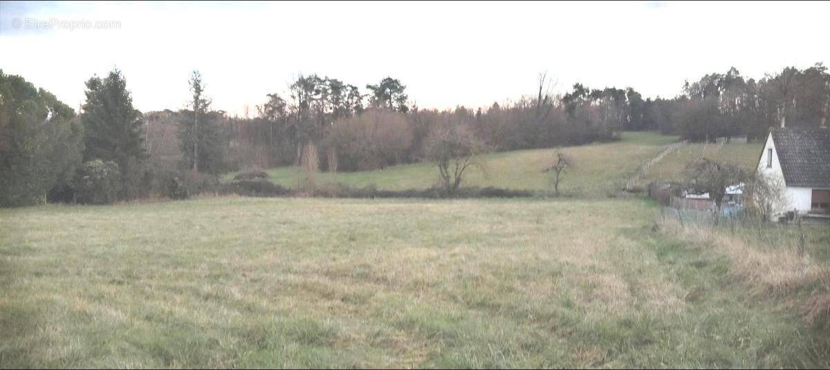 Terrain à NEUIL