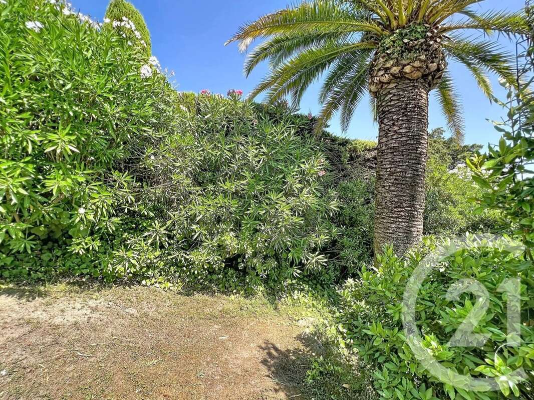 Maison 192 m² à Mougins  - photo 22