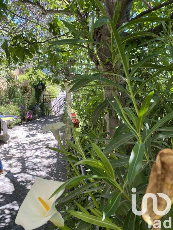 Photo 6 - Maison à BARGEMON