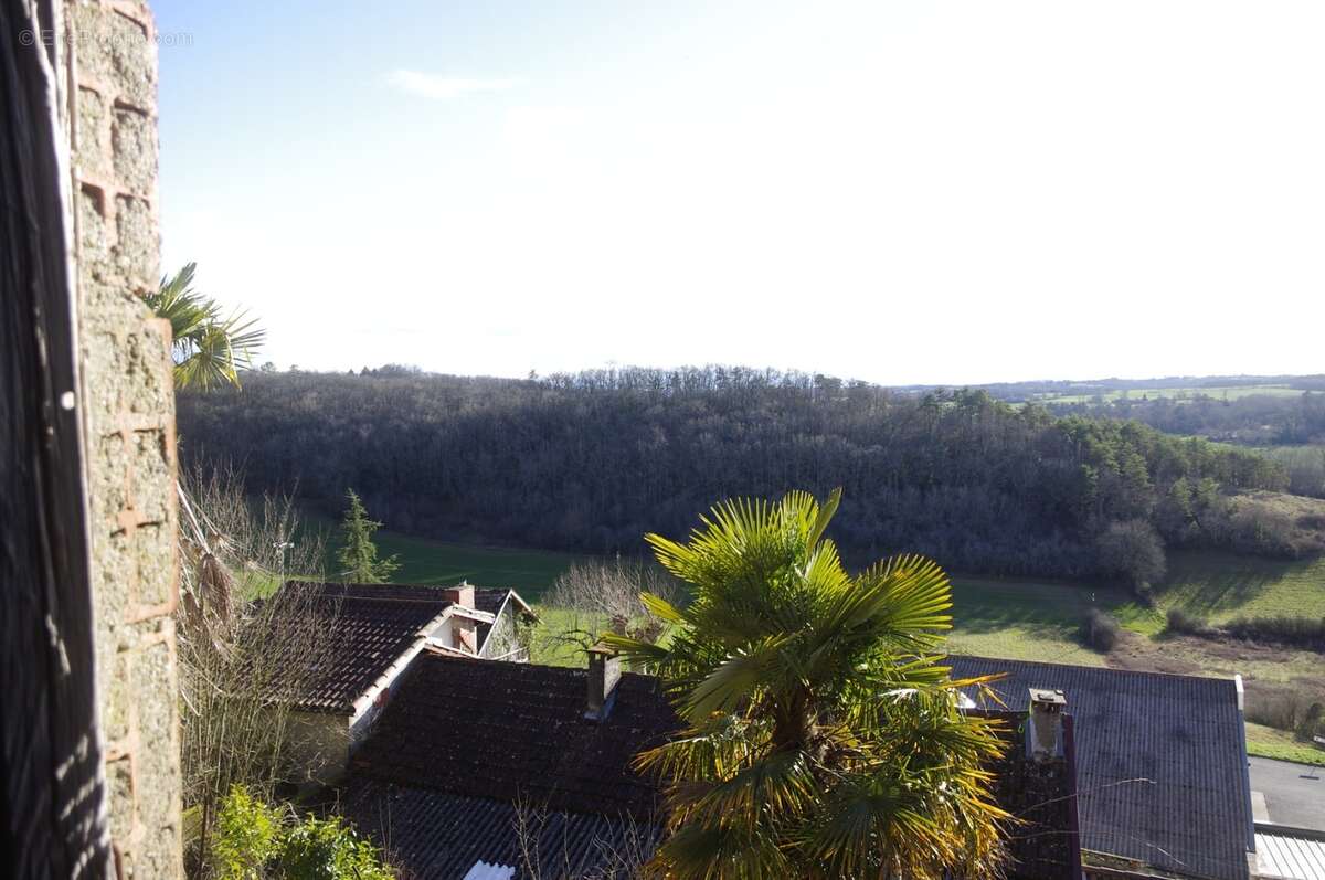 Grange en cours de transformation à vendre 1 pièces à MONTESQUIOU (32) 42.50 m² sur terrain de 400 m² environ - photo 3