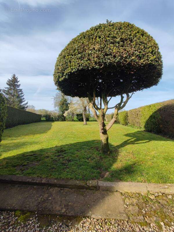Maison à LE CATEAU-CAMBRESIS