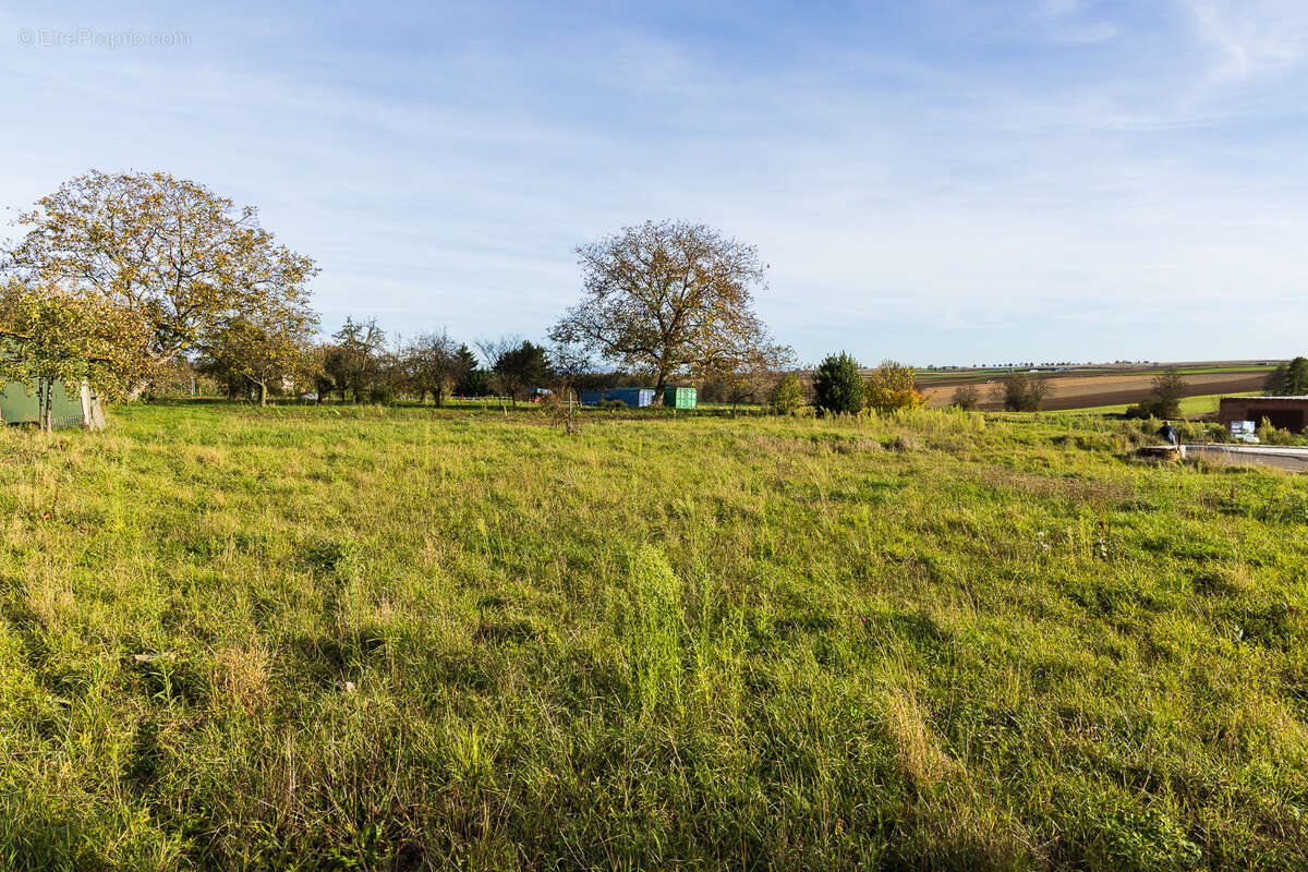 Terrain à OSTHOFFEN