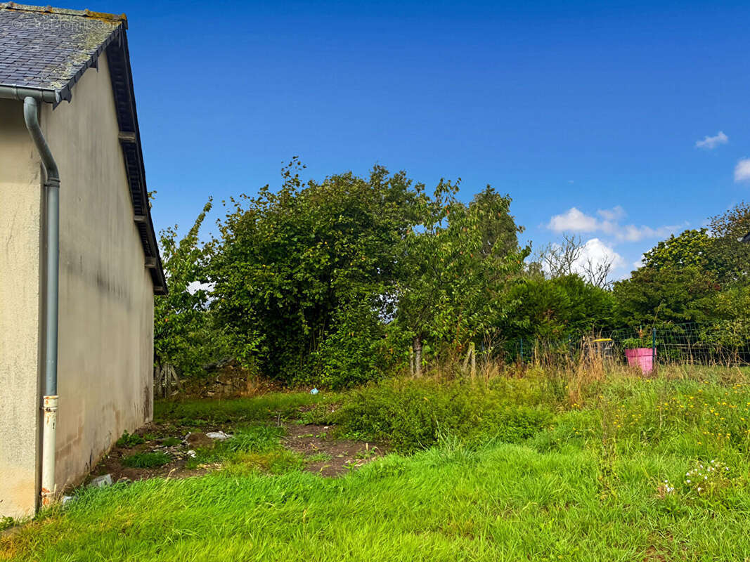 Maison à SENS-DE-BRETAGNE