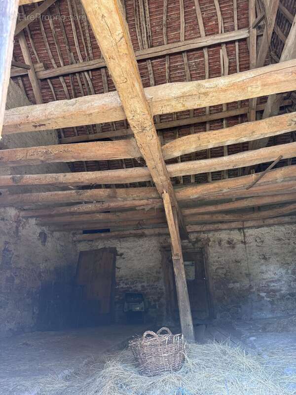 Ferme bressane de caractère sur près de 2,7 hectares – Un véritable havre de paix aux portes de Louhans - photo 24