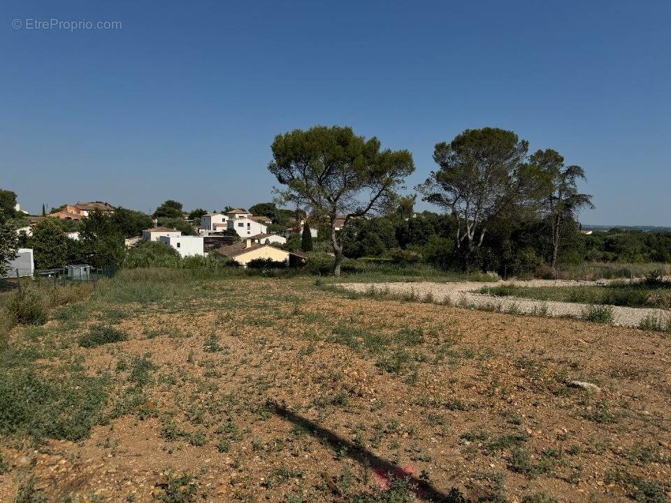 Terrain à MUS