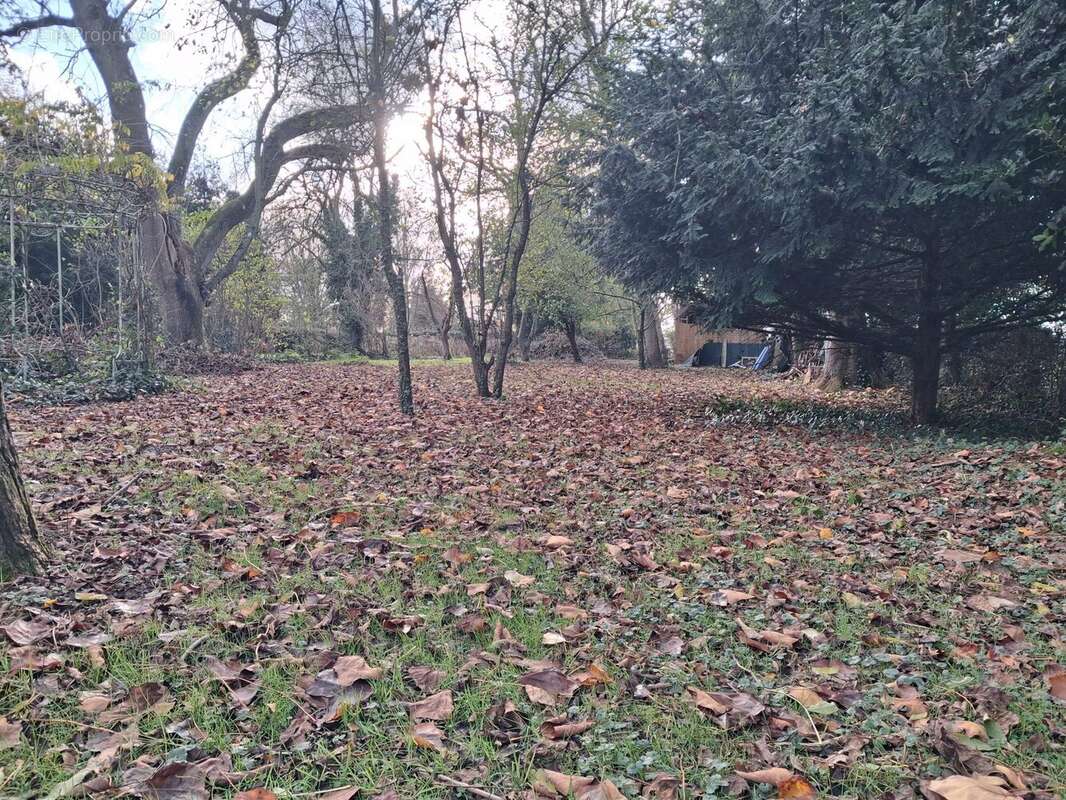 Maison à BOURSEVILLE