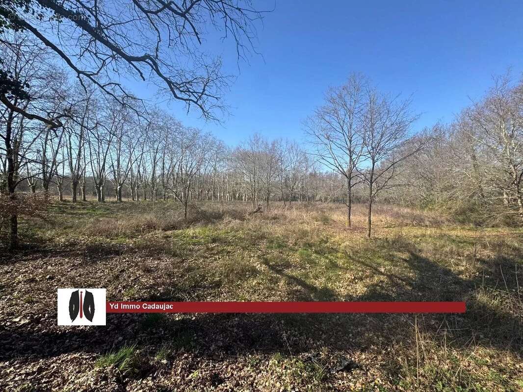 Terrain à LEOGNAN