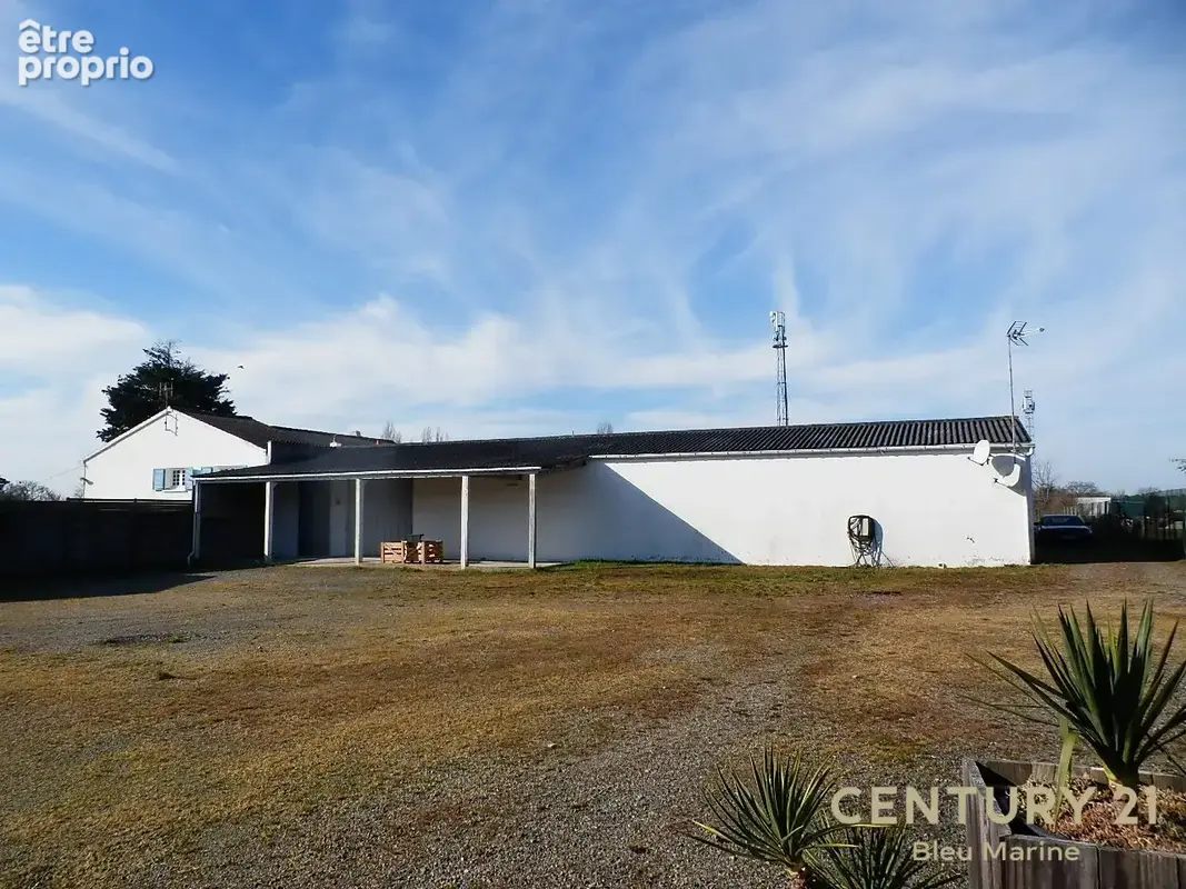 Commerce 600 m² à vendre à Sallertaine (85300) - photo 2