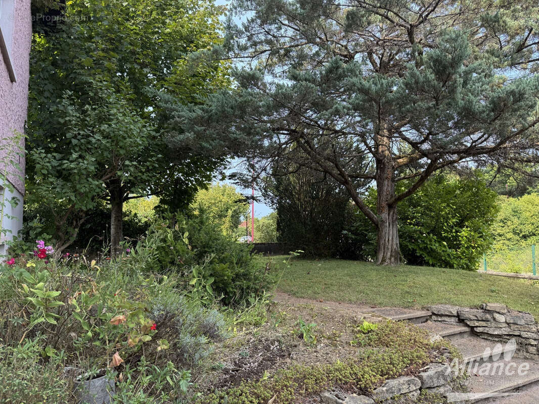 Maison à TAILLECOURT
