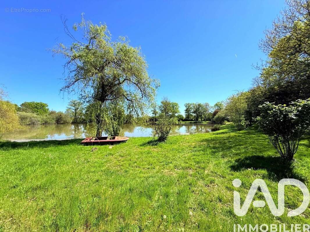 Photo 4 - Terrain à AVAILLES-LIMOUZINE