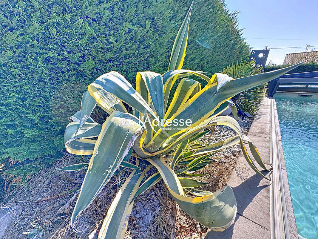 Maison à PLAISANCE-DU-TOUCH