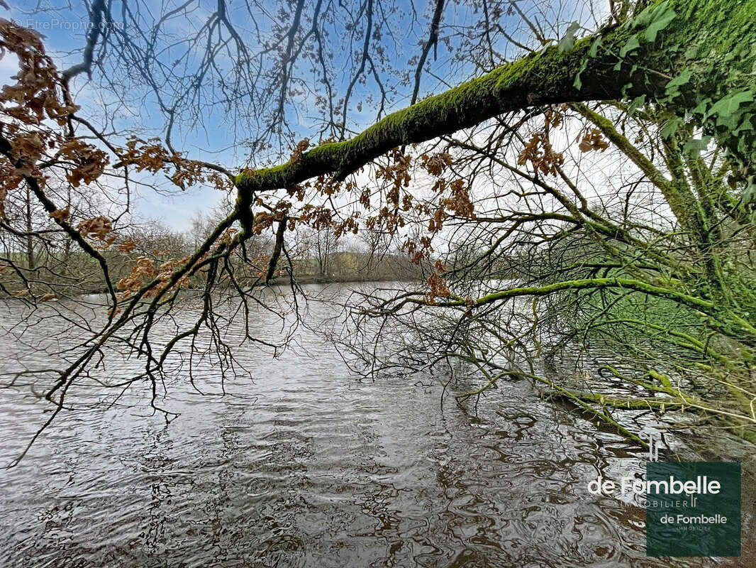 Terrain à MAGNY-LE-DESERT