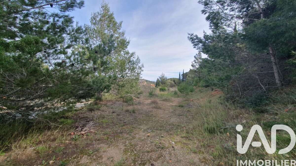 Photo 3 - Terrain à LA PALME