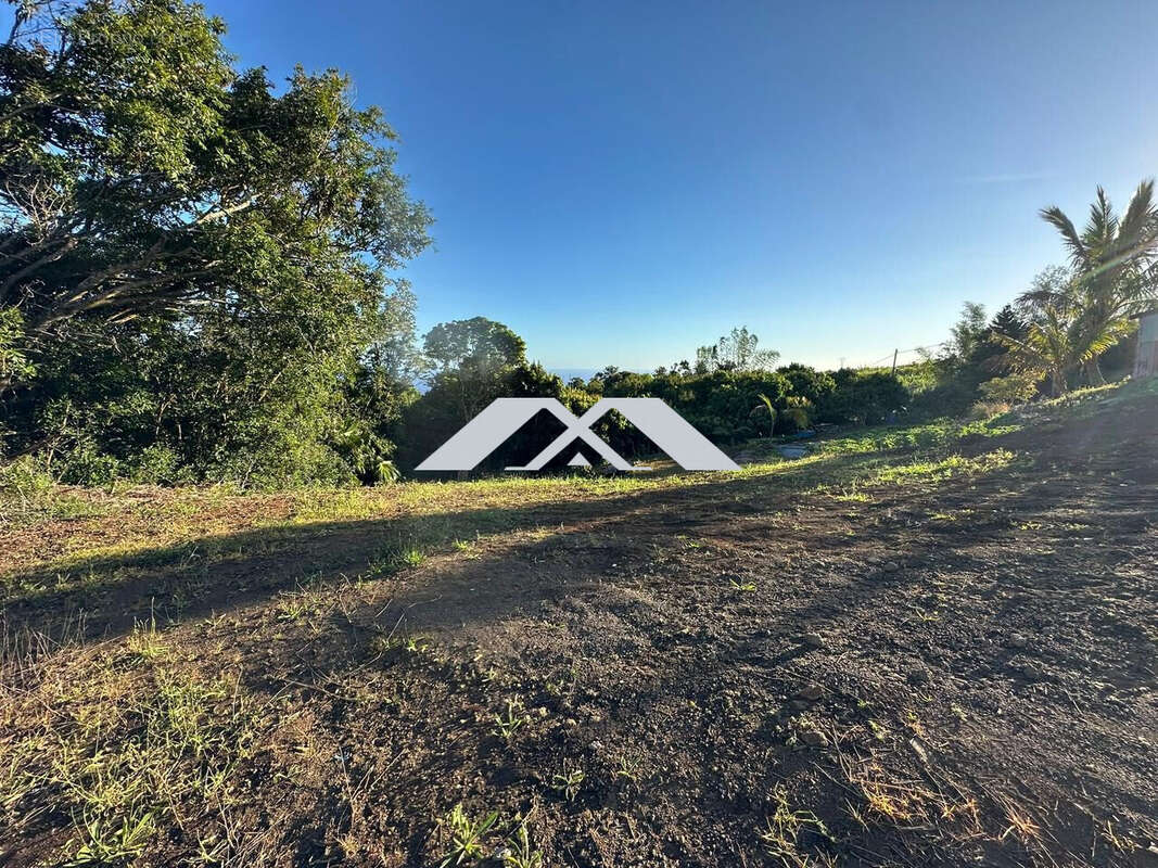 Terrain à SAINT-JOSEPH