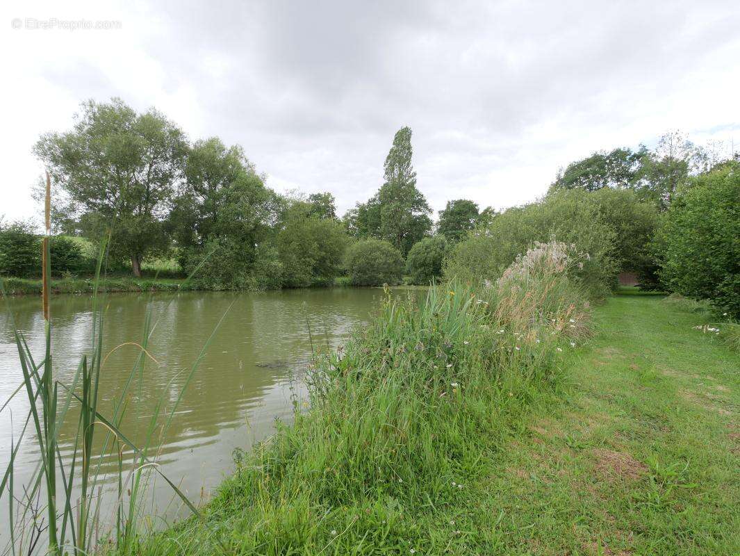 Terrain 5 062 m² à vendre à Saint-Aubin-D'aubigne (35250) - photo 5