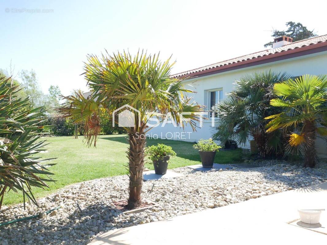 Photo 1 - Maison à TALMONT-SAINT-HILAIRE