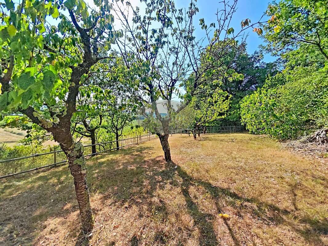 Propriété gersoise, dépendances, 2,8 ha - photo 34