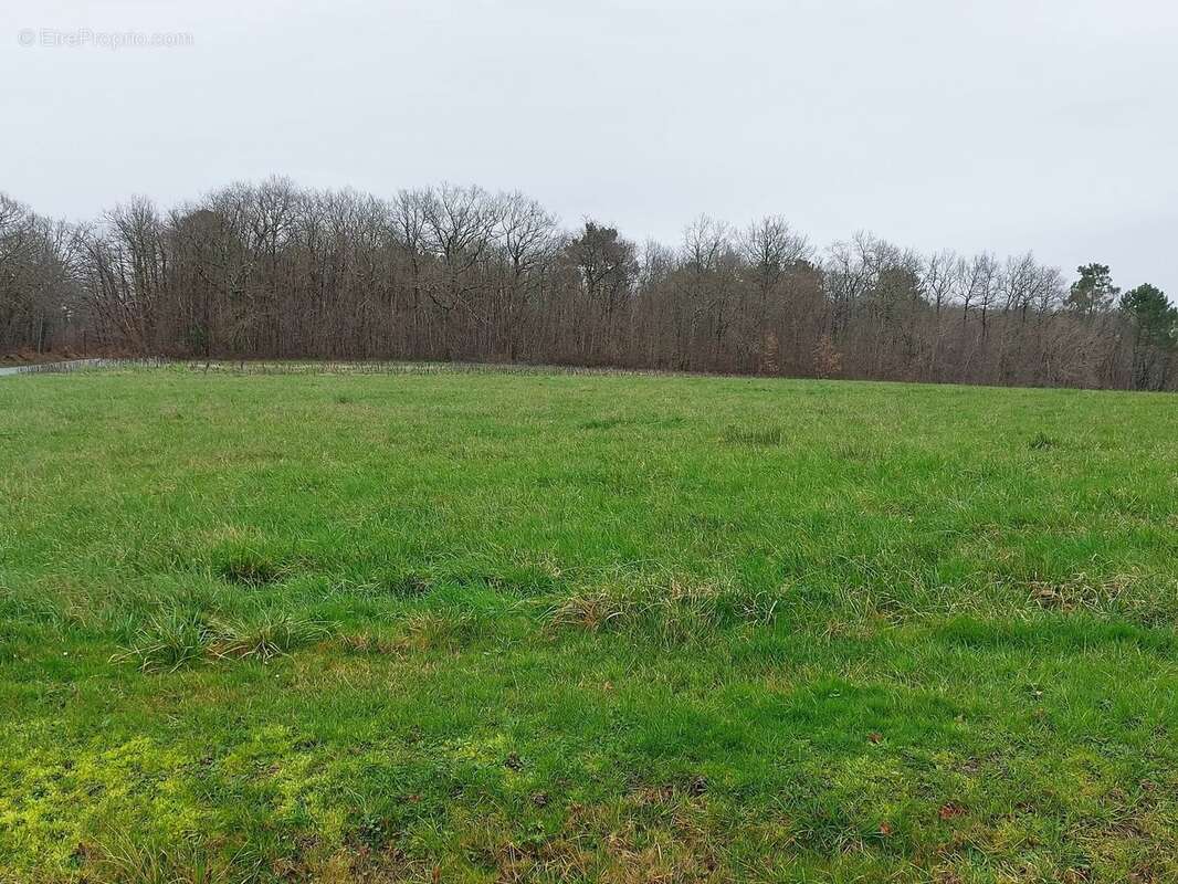 Terrain à SAINTE-COLOMBE