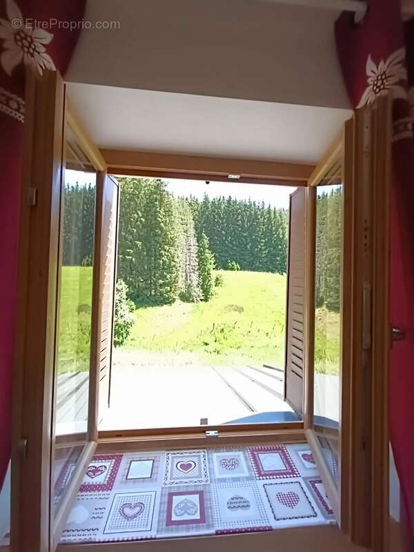 Corrençon en Vercors : Bel appartement T3 duplex ,avec jardin et cave . - photo 30