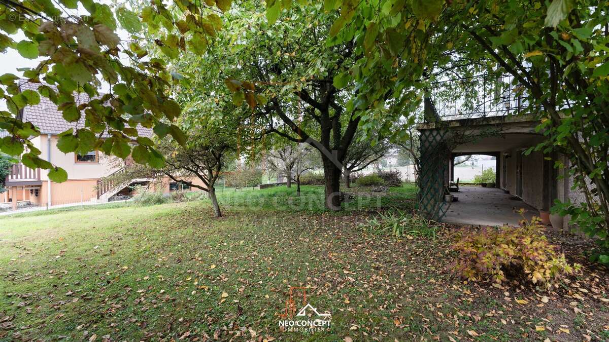 Maison à STUTZHEIM-OFFENHEIM