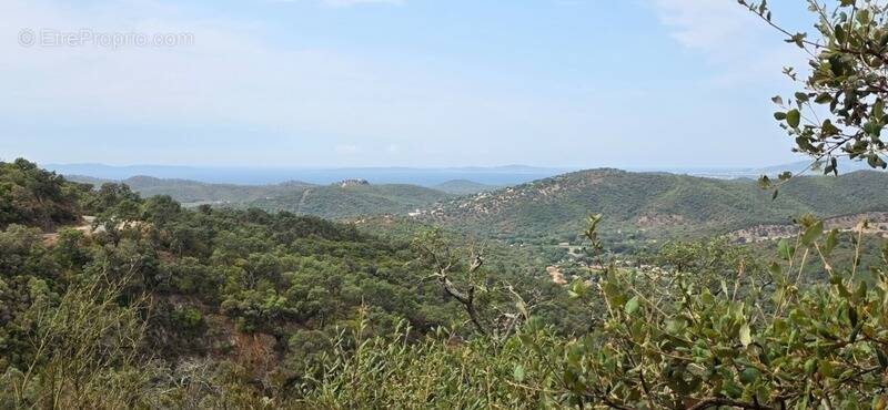 Terrain à BORMES-LES-MIMOSAS