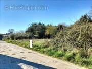 Terrain à DOLUS-D&#039;OLERON