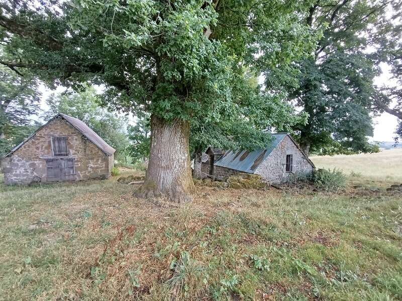 Maison à SAINT-MARTIN-VALMEROUX