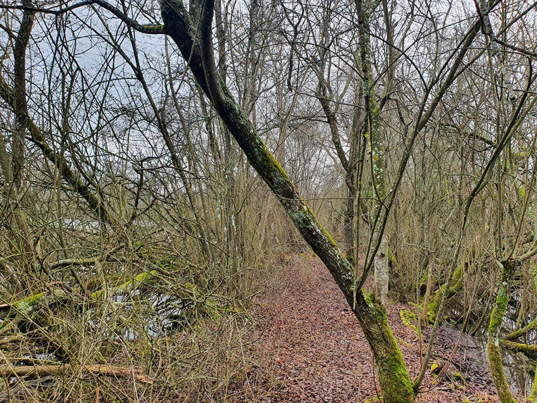 Terrain à SAINT-QUENTIN