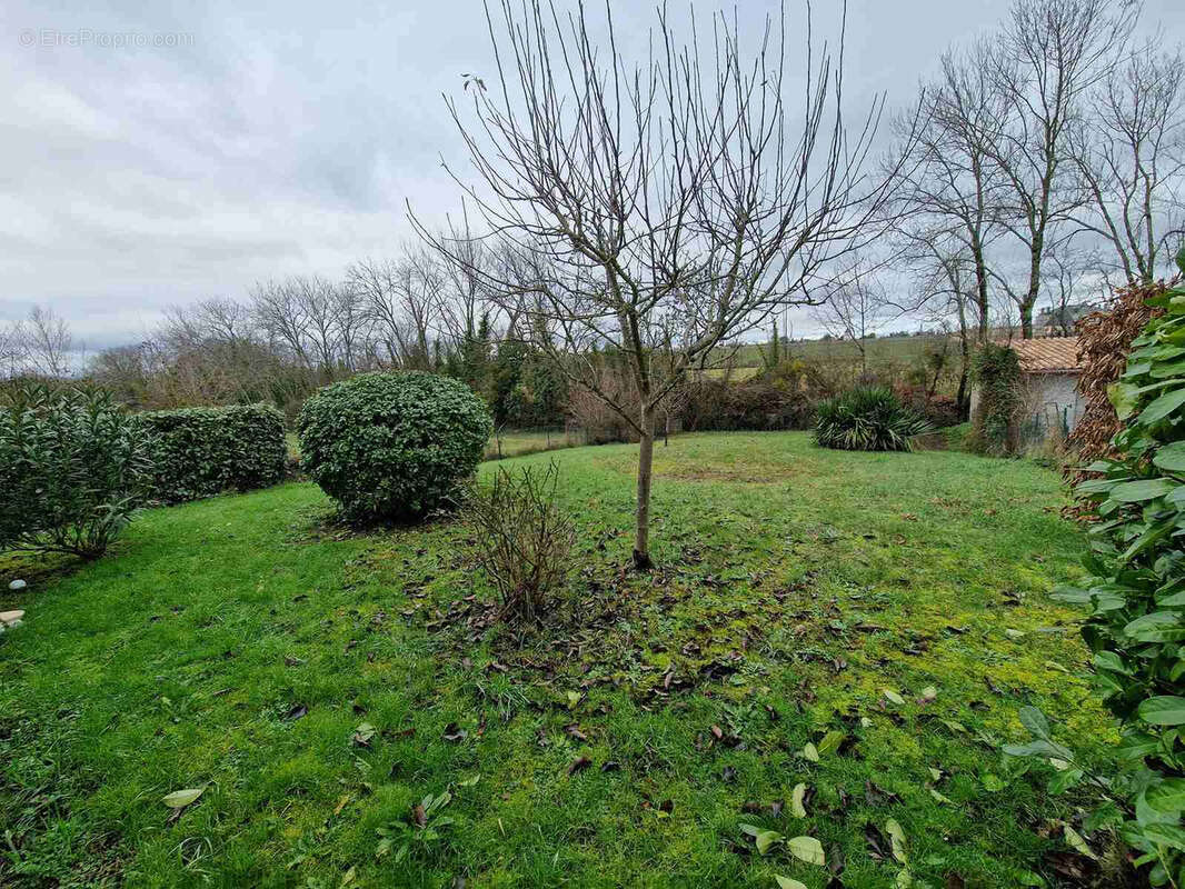 Maison à SAINT-MARTIN-LACAUSSADE