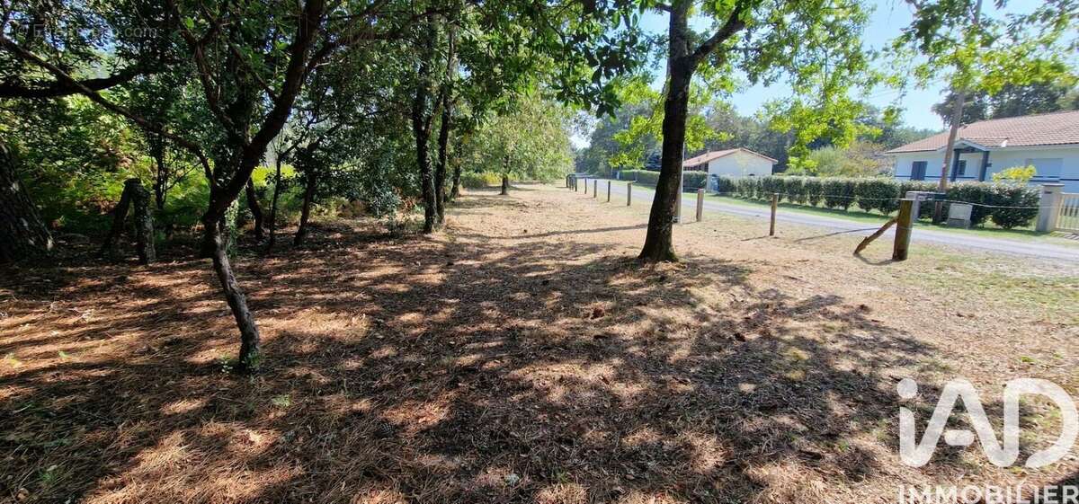 Photo 3 - Maison à BISCARROSSE