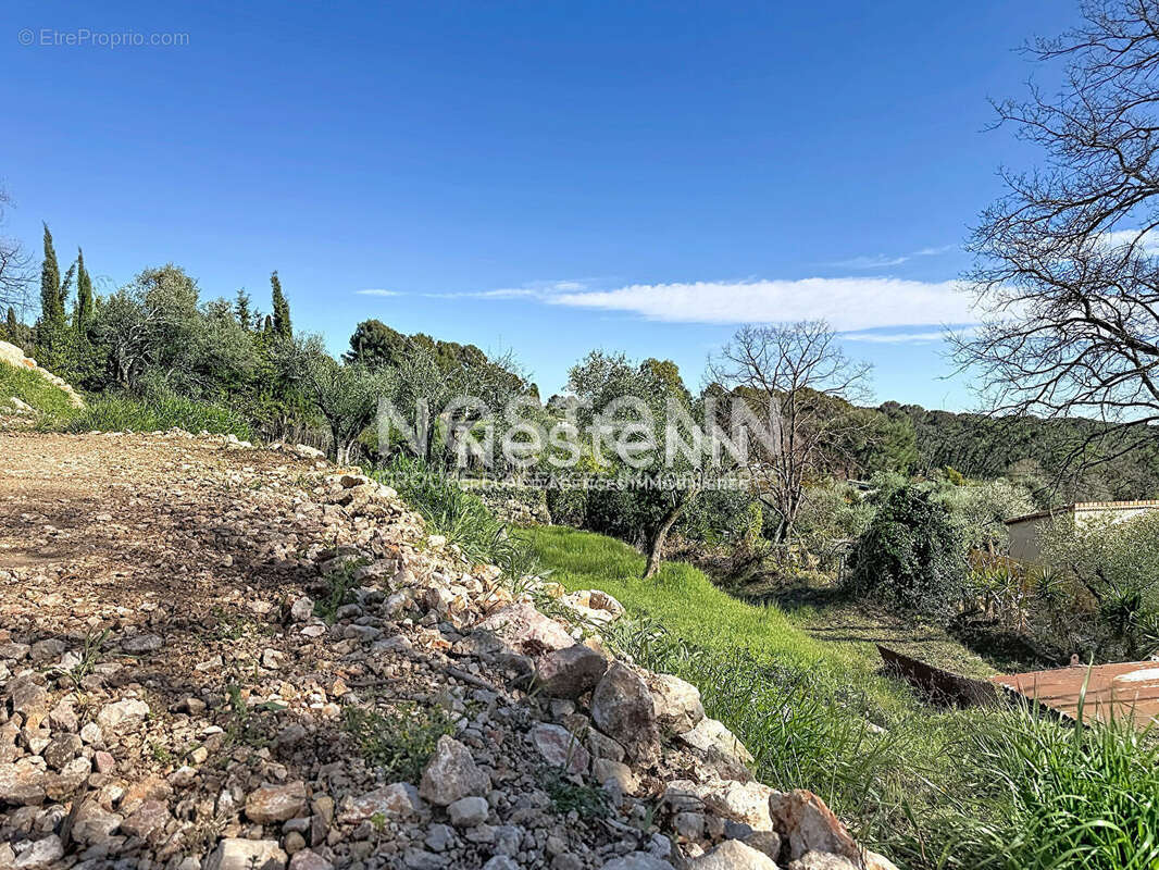 Terrain constructible 1788m2 - exposé plein sud - Roquefort les pins - photo 3