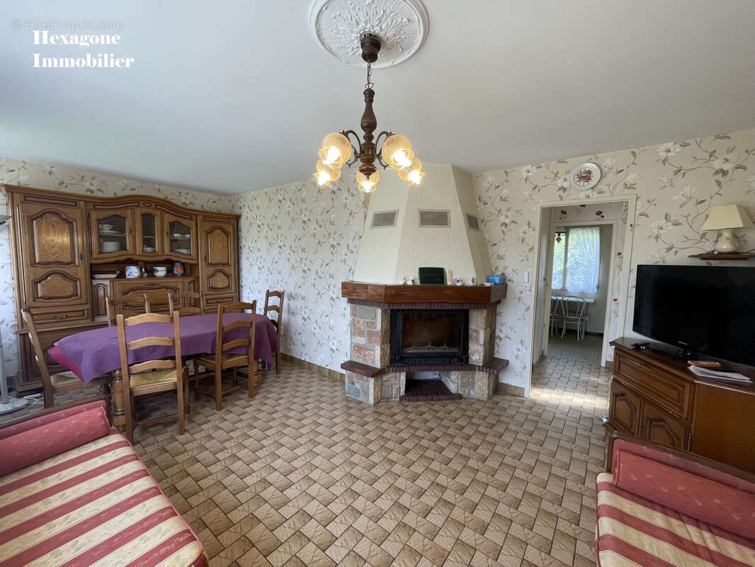 Maison à OUSSON-SUR-LOIRE