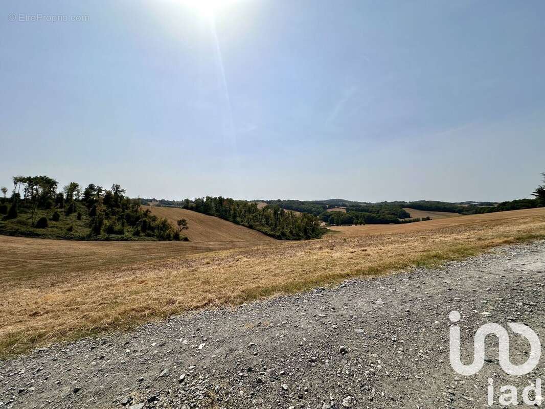 Maison 300 m² à Peyrusse-Vieille  - photo 6