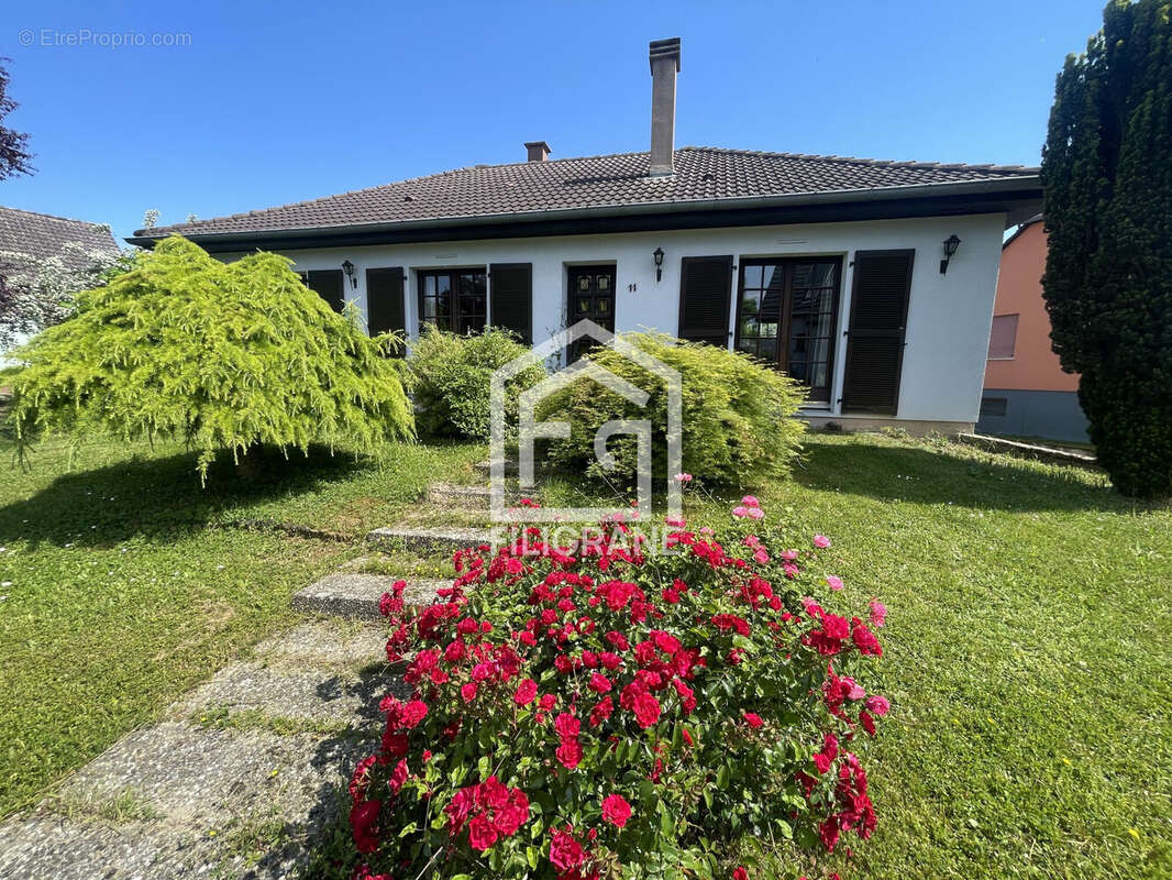 Maison à OFFENDORF