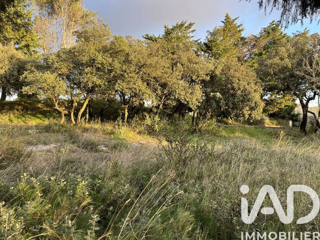 Photo 1 - Terrain à SAINT-MAXIMIN