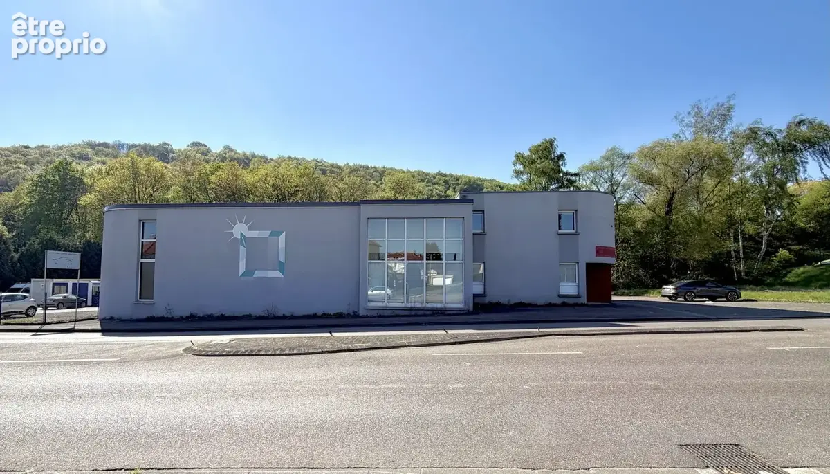 Immeuble commercial polyvalent aux portes de la frontière. - photo 2